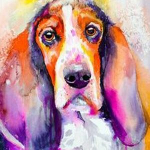 Meet your Posher, Robin